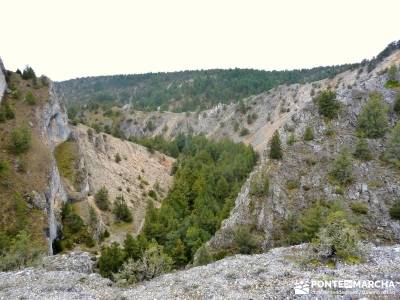 La Fuentona y el Sabinar de Calatañazor; rutas de senderismo en españa;senderismo alcobendas